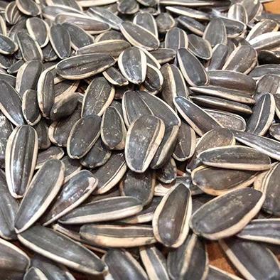 China Dry Provide Large Size 361 Raw Sunflower Seed For By Ton Price for sale