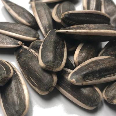 China Dry White Striped Black Salted Sunflower Seed in Shell Market Price Origon Inner Mongolia for sale