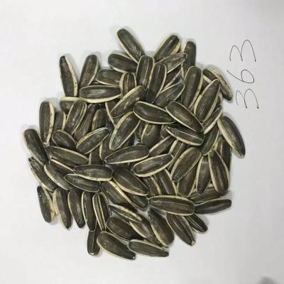 China Selling Dry Raw High Quality Sunflower Seeds Whole Original Kernel Sunflower Seeds Pakistan for sale