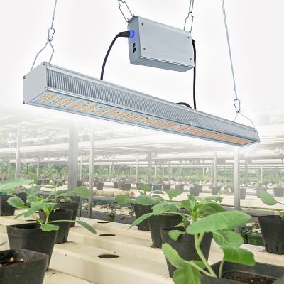 China VEG 640W 650W Greenhouse Grow Lamp Full Spectrum LED Grow Light Bar Led Grow Lights for sale