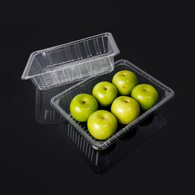 China Customized Food Grade Square Shaped Disposable Fruit Containers Plastic Tray With Lids for sale