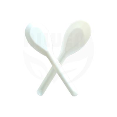 China Homes Tableware Food Grade 100% Plastic Biodegradable Disposable Spoon Compostable for sale