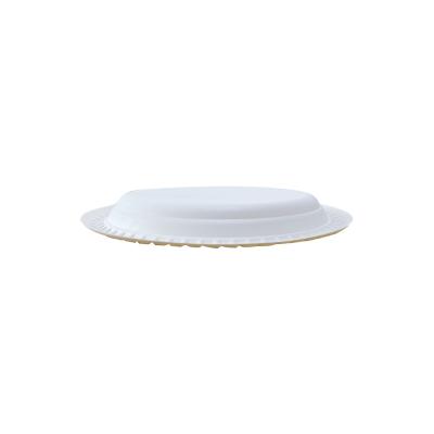 China CLASSIC Take Out Flat 100% Compostable Biodegradable Plastic Hot Sale Plates For Food for sale