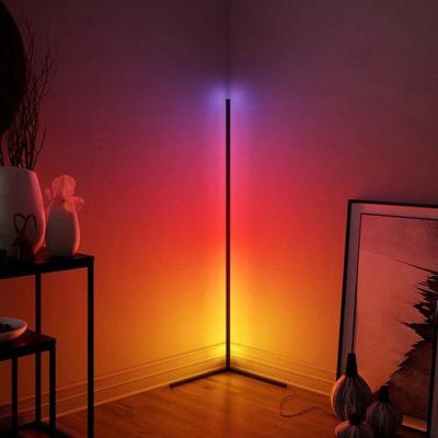 China Modern Ready To Ship Modern Home Industrial Stand Bedroom Living Room RGB Bookshelf Led Corner Floor Lamp for sale