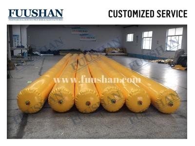 China Polyethylene Biogas Digester Family Size Biogas Digester for sale