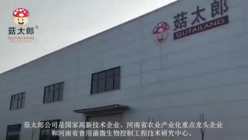 Verified China supplier - Henan Gutailang Foods Co., Ltd.