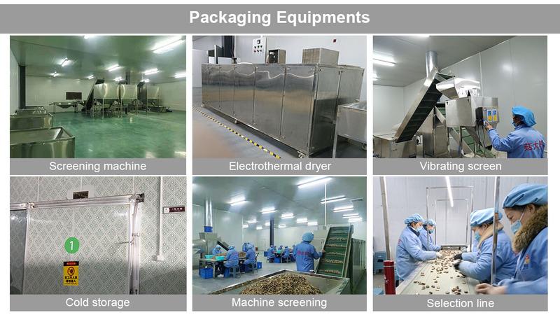 Verified China supplier - Henan Gutailang Foods Co., Ltd.