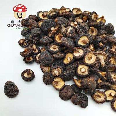 China Dry Black Shiitake Mushroom Exported High Grade Hydrated Black Dry Mushroom Quality Black Dry Mushroom Shiitake Mushroom for sale