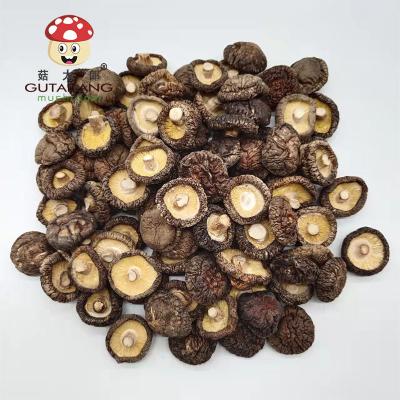 China 2-3cm dry shiitake mushroom Gutailang nanyang hydrated dried mushroom for sale shiitake mushrooms for sale