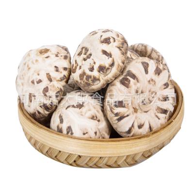 China Wholesale Price Whole Dried Shiitake Mushroom Dried High Quality White Flower Shiitake Mushroom for sale