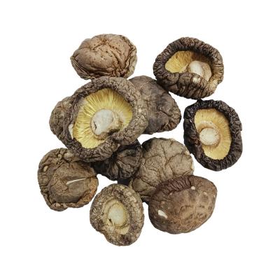 China Wholesale Cheap Dry Shiitake Mushroom Dry Shiitake Mushroom Shiitake Mushroom for sale