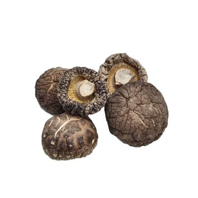 China Wholesale Cheap Healthy Dried High Quality Dried Flower Shiitake Mushroom Shiitake Mushroom Shiitake Mushroom (3-4cm) for sale