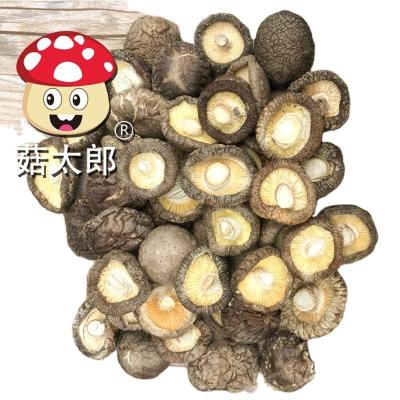 China Best-selling high quality dried shiitake mushroom special for soup mini dried shiitake mushroom for sale