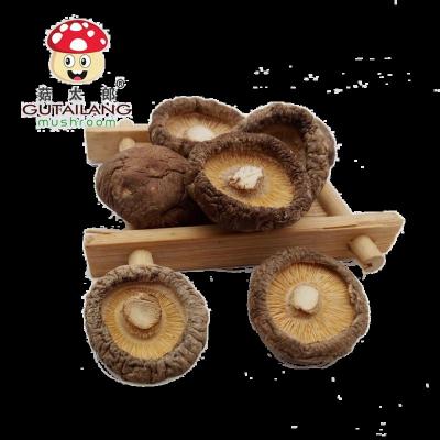 China High Quality Dry Shiitake Mushroom Factory ISO9001 Qualified Low Price Dried Shiitake Mushroom for sale