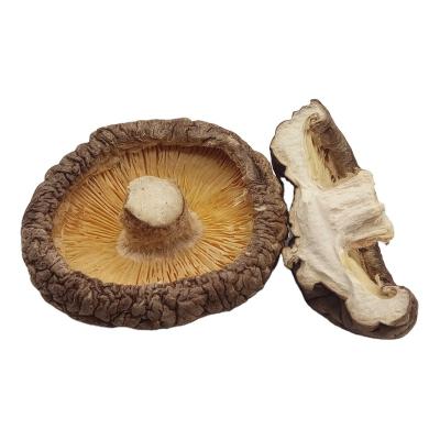 China Healthy high quality dry shiitake mushroom is food high quality organic dry shiitake mushroom wholesale price for sale