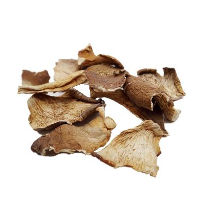 China Dried Oyster Mushroom Slices Cheap Price Gutailang Foods Pleurotus Ostreatus Dried Shiitake Mushroom Dried Oyster Mushroom Slices for sale