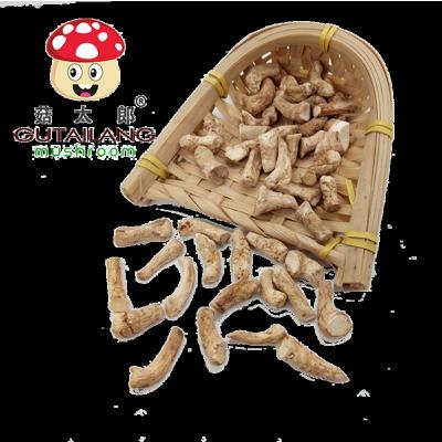 China Shiitake Root Mushroom Leg Root Mushroom Leg Shiitake Mushroom Dried Shiitake Mushroom Stalk for sale