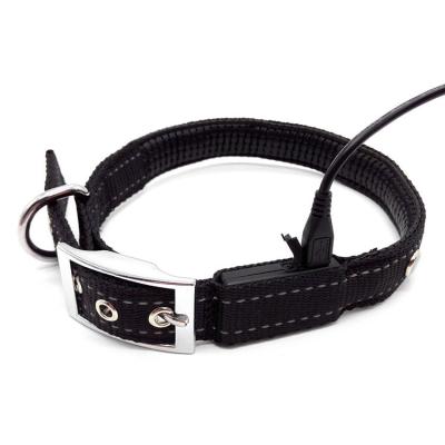 China Lights Accessories Wholesale Adjustable USB Rechargeable Dog Collar for sale