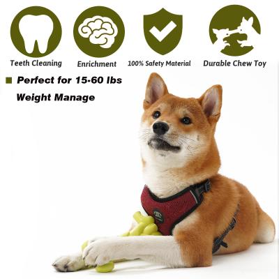 China Sustainable Durable Squeaky Interactive Toothbrush Treat Dog Toys Dental Chew Toys For Medium Large Dogs for sale