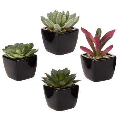 China Rustic Set of 4 Mini Assorted Green Artificial Succulent Plants in Square Black Ceramic Planters for sale