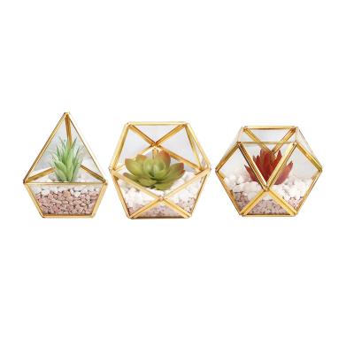 China Mini Glass Geometric Terrarium Bohemian Artificial Succulent 4PCS for Home Office Table for sale