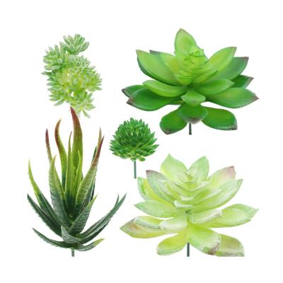 China Minimalist DIY Artificial Succulents Unpotted Plants Assorted Decorative Succulents 5 Pcs for sale