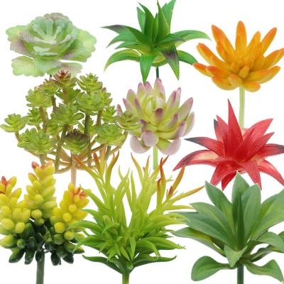 China Mini Minimalist DIY Home Decoration Artificial Succulent Assortment for sale