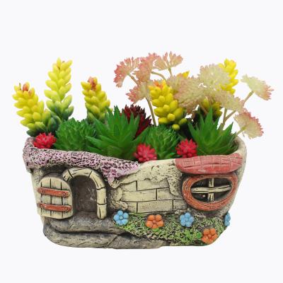 China Christmas Day Decoratiom 12 Packs Mixed Succulents Outdoor Home Decor Flower Arrangement Unpotted With Different Sizes for sale