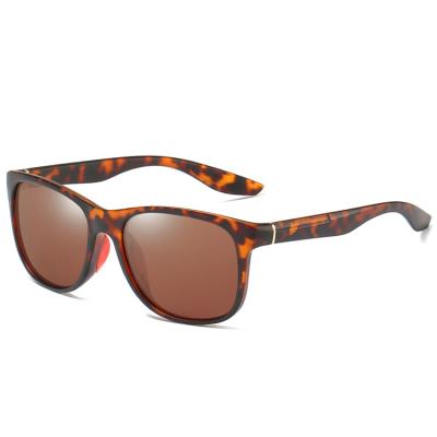 China Fashion Custom Uv Logo Sunglasses 400 Tac Plastic Pc Frame Tortoise Shell Sunglasses Tortoiseshell Sun Glasses Polarized for sale