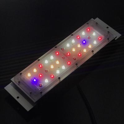 China 3535 36 POINTS Growing Light SMD LED GROW LIGHT MODULE With Heatsink 300x80x40mm for sale