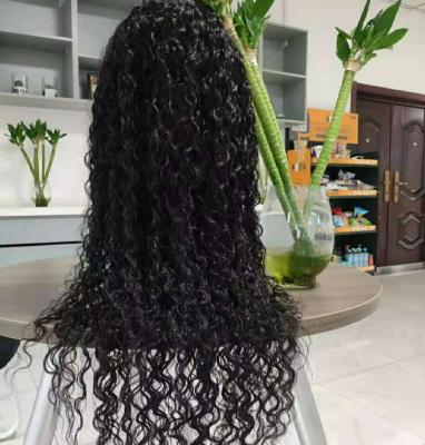 China Premier Deep Curly Full Wave Cuticle Aligned Virgin Hair Lace Wig With Preplucked Hairline 150% 180% 200% Density HD Lace Front Wig for sale