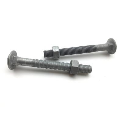 China HDG Cup Head Carriage Bolt Steel Hot Dipped Galvanized Car Bolt for sale