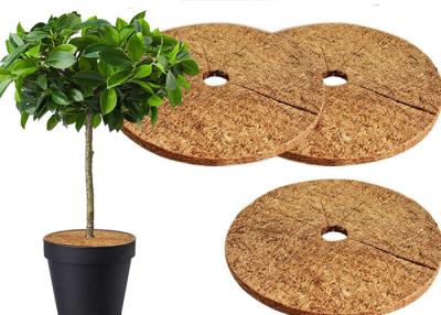 China 100% natuurlijke kokosvezels Ronde mulch ring voor tuin Te koop