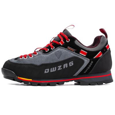 China New type sport sale waterproof well casual outdoor hiking shoes for sale