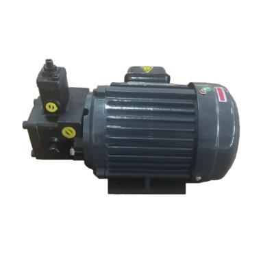 China Cast Iron MVP Series Hydraulic Electric Positive Displacement Pump for sale