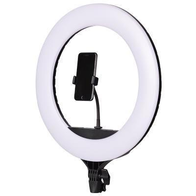 China Professional CL-18 ring light 18 inch led ring light 5600k ring light for photos, filming and tik tok CL-18 for sale