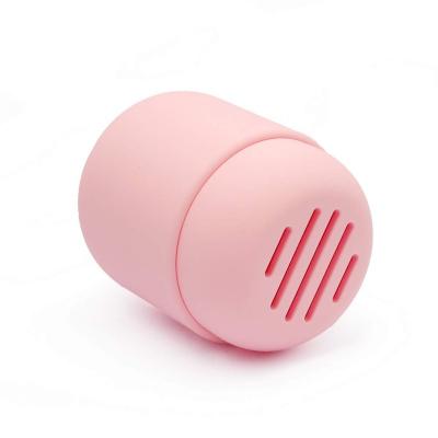 China Beauty Makeup Sponge Silicone Blast Powder Blending Case Holder Silicone Travel Capsule Makeup Sponge Facial Packaging for sale