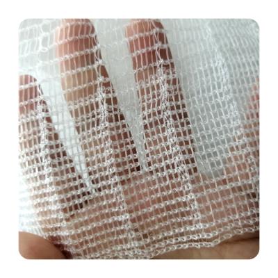 China Plant Protective HDPE Anti Insect Tree Cover Protection Net Bags UV Protection Net White Plastic Mesh Net for sale