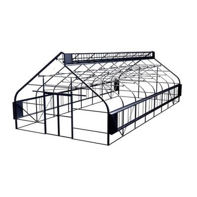 China Stable structure hot sale factory price commercial plastic film tunnel greenhouse for sale