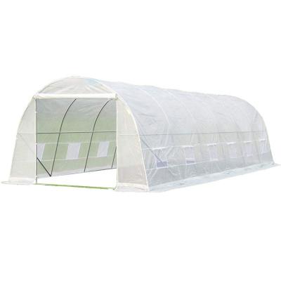 China Vegetable Greenhouse Agriculture Metal Frame Greenhouse Small Greenhouse Flowers Fruits Greenhouse for sale