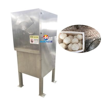 China Labor Saving Commercial Coconut Sheller Machine Coconut Sheller Machine Coconut Brown Skin Removing Machine for sale