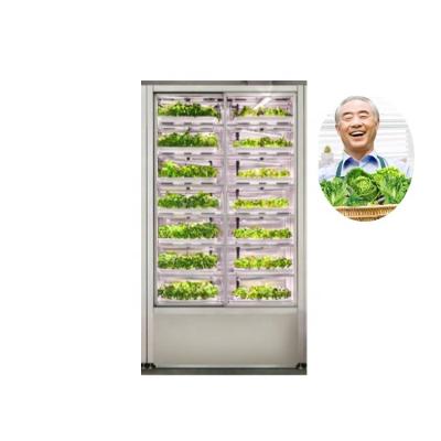 China Lettuce Hydroponics Growing Plant Indoor Vegetable Growing Machine For Spinach Vegetable for sale