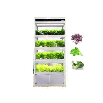 China Vegetable Sprouting Machine Multifunctional Small Hydroponics System Growing Indoor Herb Garden for sale