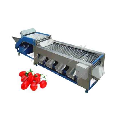 China Fruit Processing Plant Manufacturing Tomato Sorter Roll Grading Machine for sale