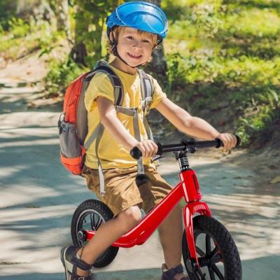 China 2-5 Years Old Bike Balance China Manufacture Mini Magnesium Alloy Cheap Price Kids Balance Bike For Child for sale