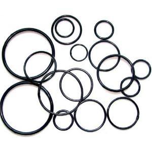 Cina FPM Large Diameter Rubber O Rings Produttore in vendita