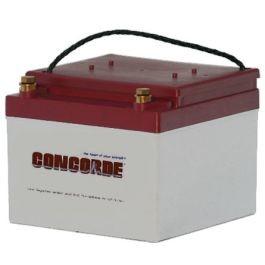 China Premium RG24 11M Concorde Lead Acid Battery 24v Replacement for sale