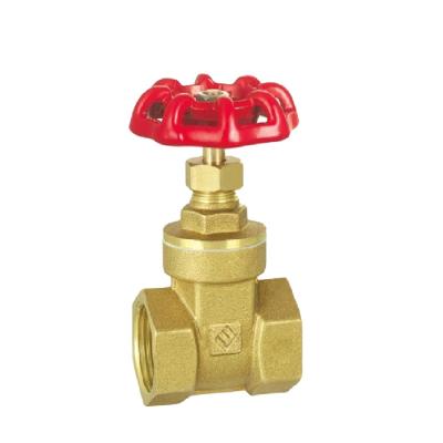 China General forged brass stop valve (PTFE core with check valve function) for sale