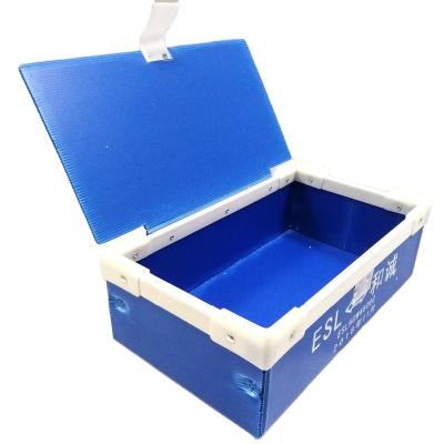 China Waterproof professional multi function corrugated plastic pp corflute sheet for making box for sale