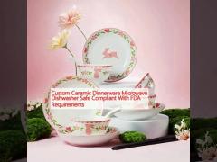 Custom Ceramic Dinnerware Microwave Dishwasher Safe Compliant With FDA Requirements